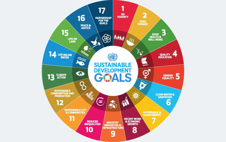 Bild der SDG 17 Ziele
